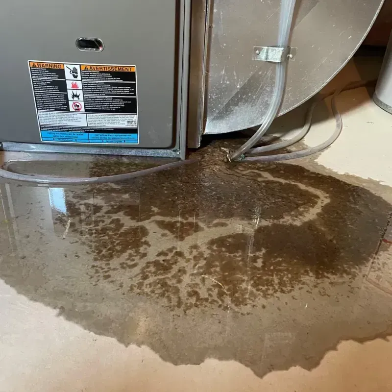 Appliance Leak Cleanup in Pecos County, TX